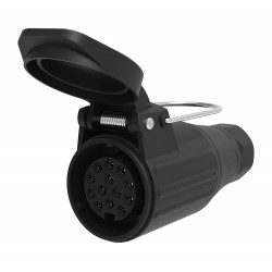 spina-13-poli-femmina