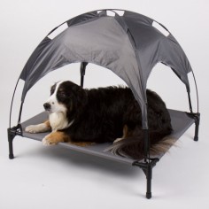 lettino cane con parasole