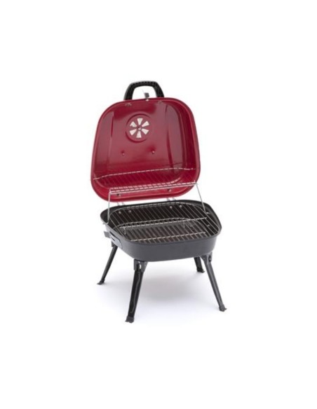 barbecue-portatile-a-carbone