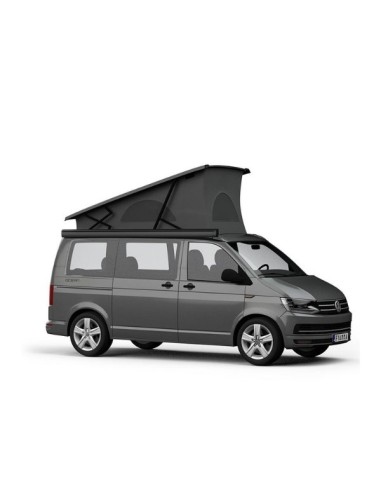 f43van vista laterale