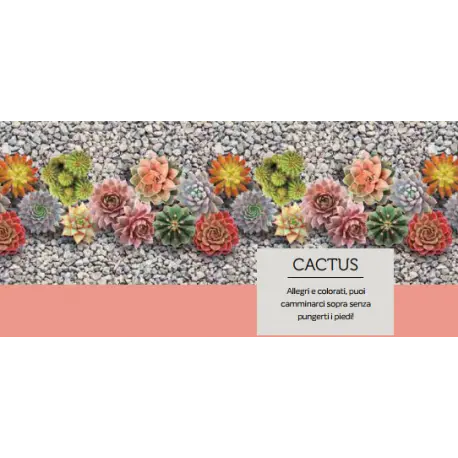 Tappeto x cucina CACTUS